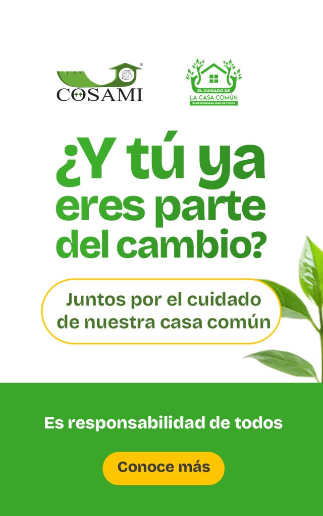 El Cuidado de la Casa Común